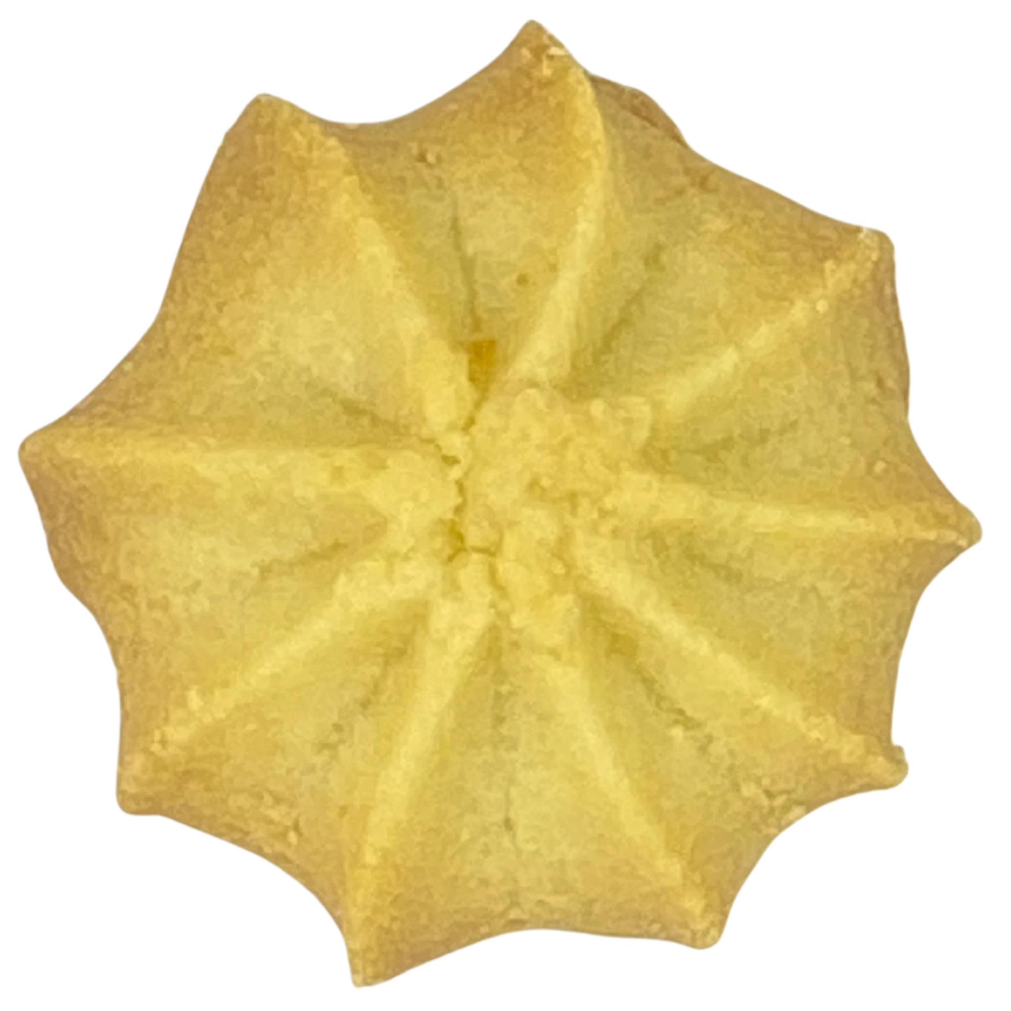 星形に絞ったプレーンのポシェクッキー