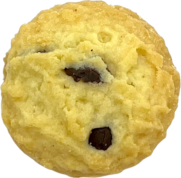 丸型のチョコチップワイヤーカットクッキー