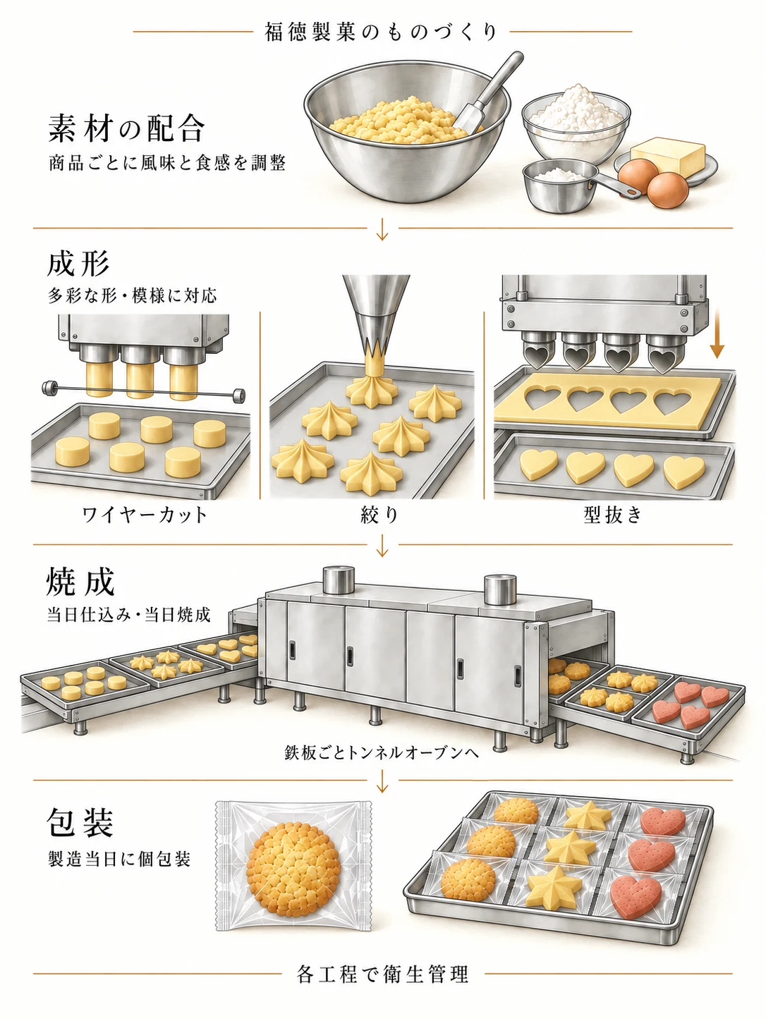 福徳製菓のものづくり。商品ごとに風味と食感を調整し、多彩な形・模様に対応。ワイヤーカット、絞り、横一列の型による上下スタンプで成形。当日仕込み・当日焼成。クッキーを載せた鉄板ごとトンネルオーブンに通し、製造当日に個包装。各工程で衛生管理。